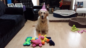 Sophie's 4th Birthday